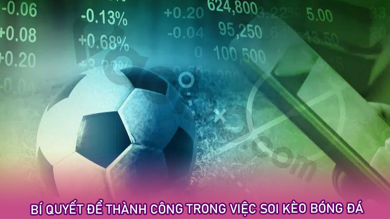 Bí quyết để thành công trong việc soi kèo bóng đá