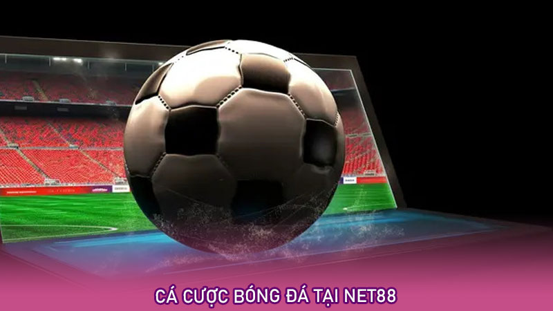 Cá cược bóng đá tại net88