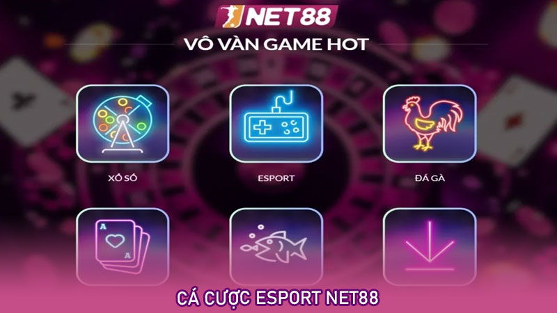 Cá cược esport net88