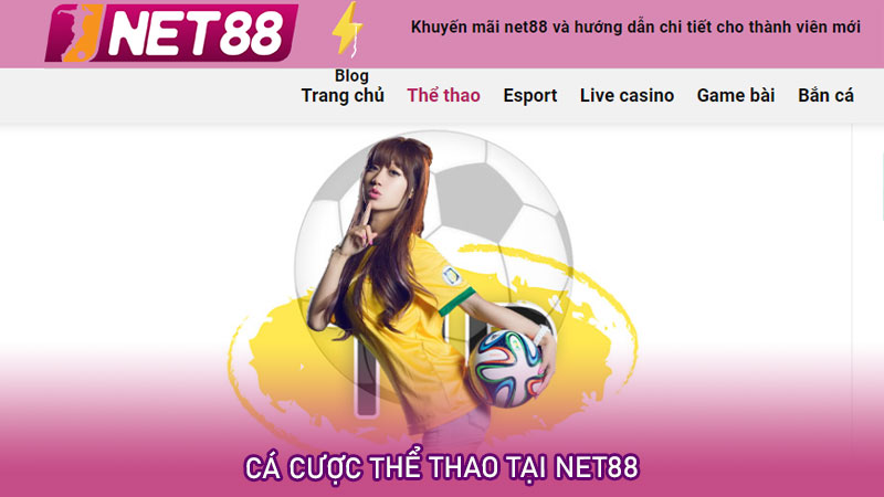 Cá cược thể thao tại net88