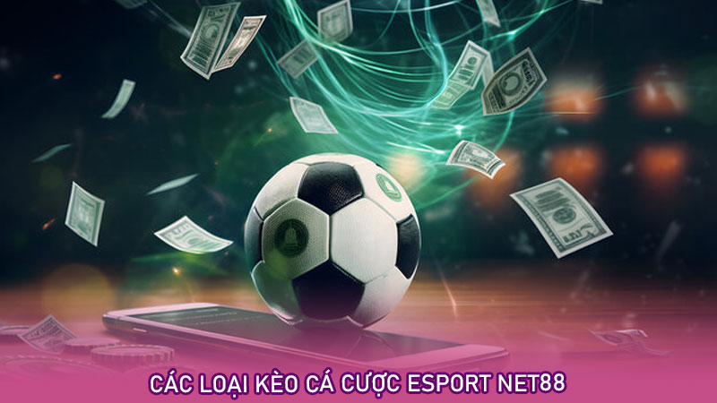 Các loại kèo cá cược esport net88