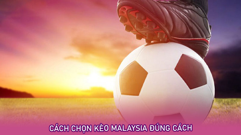 Cách chọn kèo Malaysia đúng cách