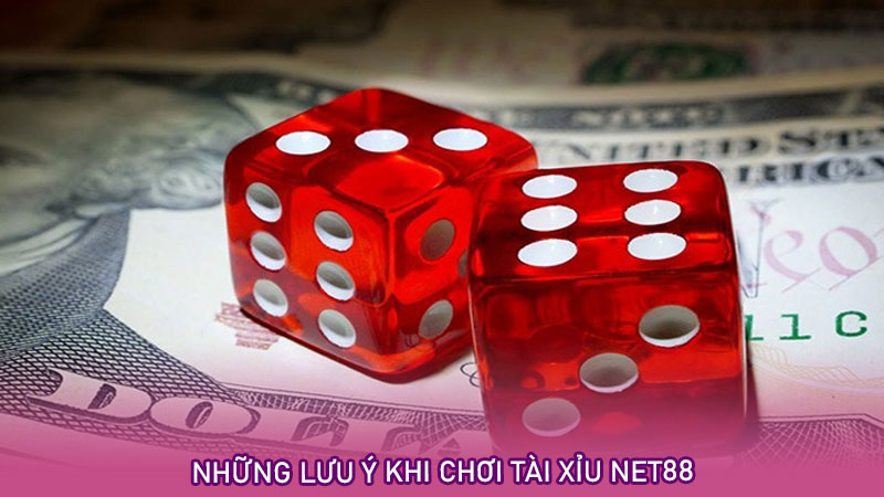 Những lưu ý khi chơi tài xỉu net88