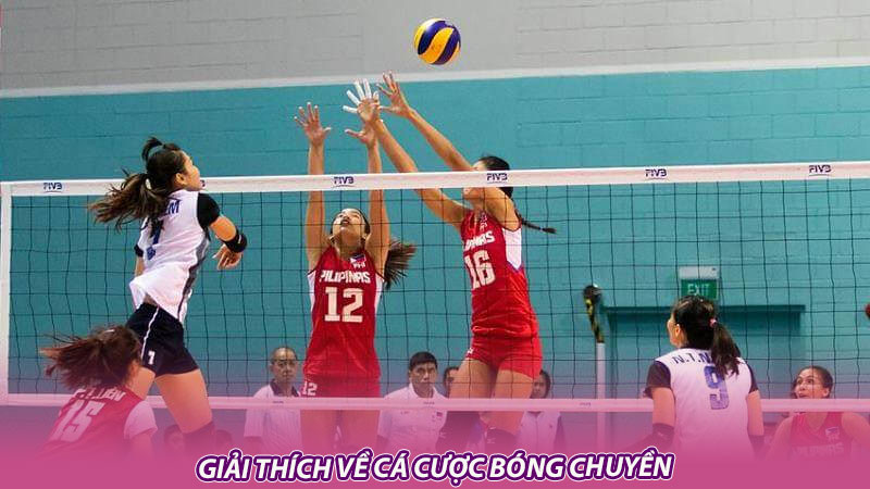 Giải thích về cá cược bóng chuyền