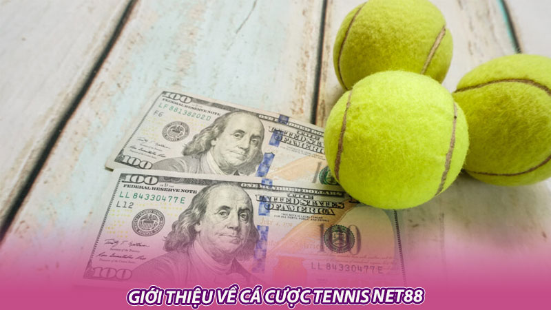 Giới thiệu về cá cược tennis Net88