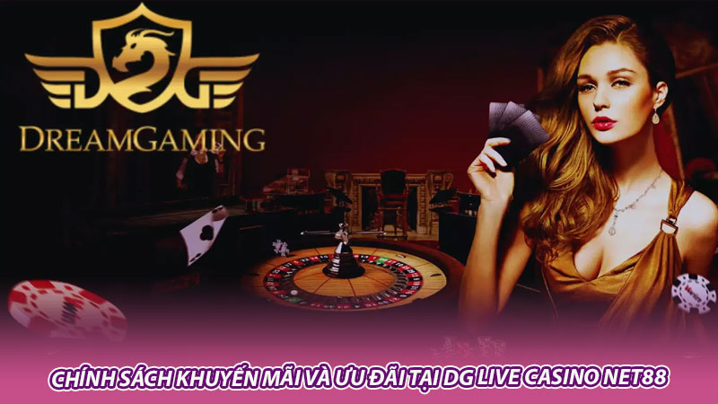 Chính sách khuyến mãi và ưu đãi tại DG Live Casino Net88